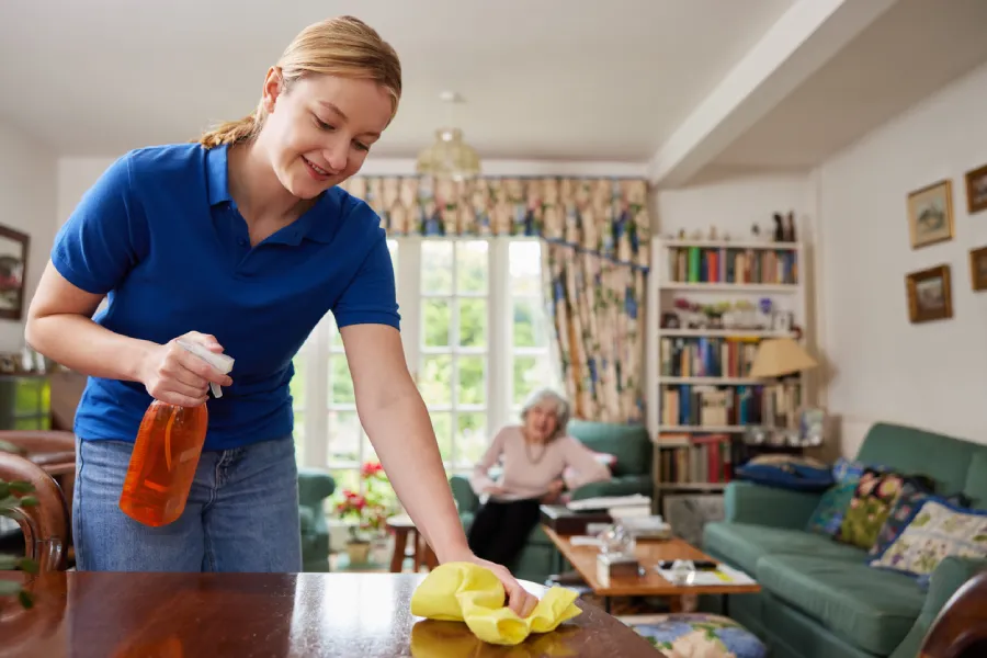 Home cleaning services